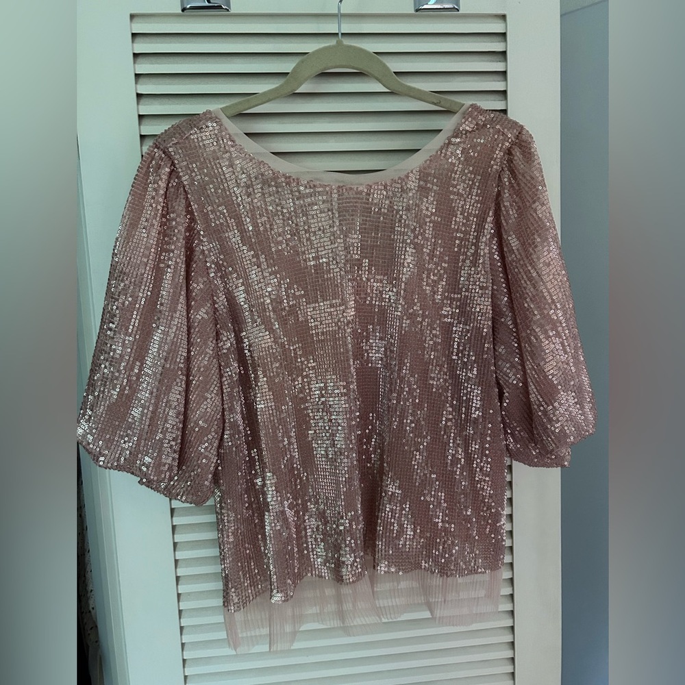 Sarah Hann Sequined Puff-Sleeve Top Pink XL